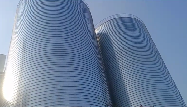 七叉镇2座混凝土高架卷板仓